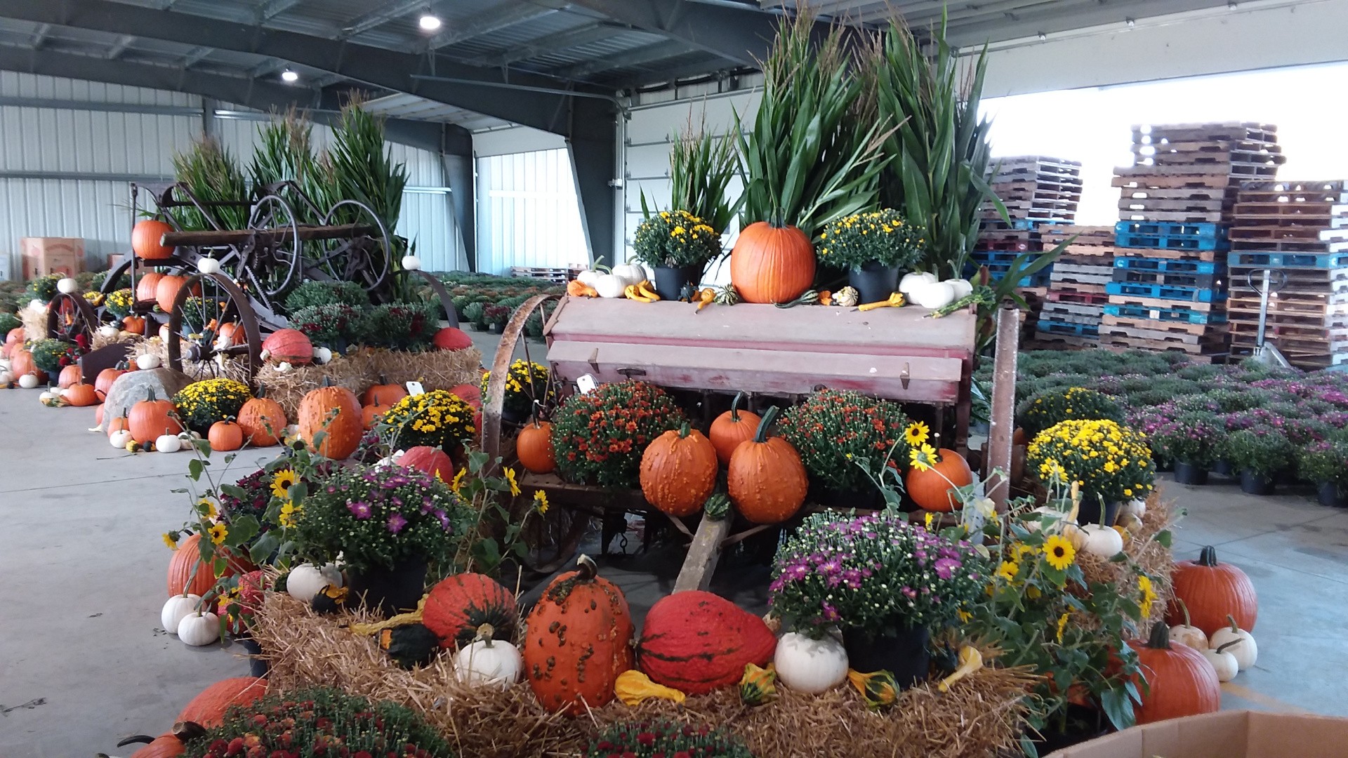 Home Brown County Produce Auction